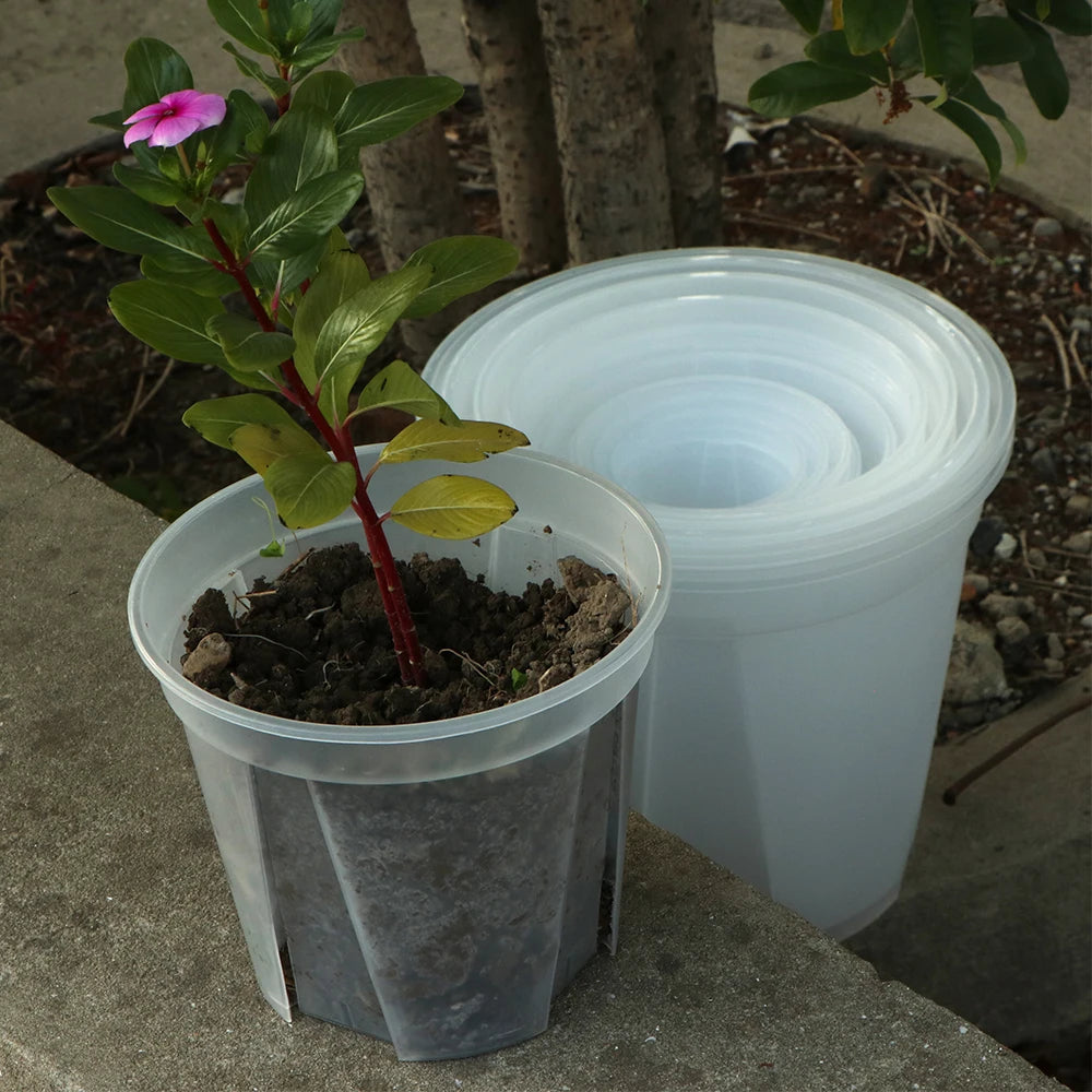 Plastic Transparent Breathable Flower Planter