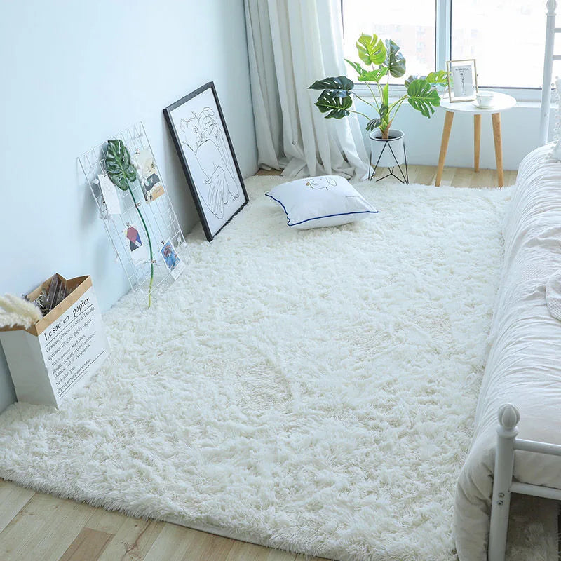 Fluffy Modern Living Room and Bedroom Furry Rug