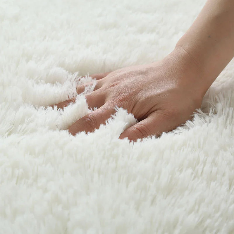 Fluffy Modern Living Room and Bedroom Furry Rug