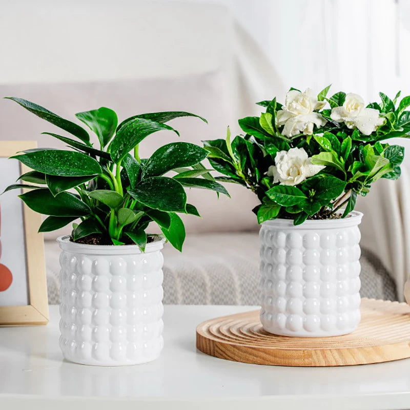 Self Watering Planter Pot Vase For Home Decoration