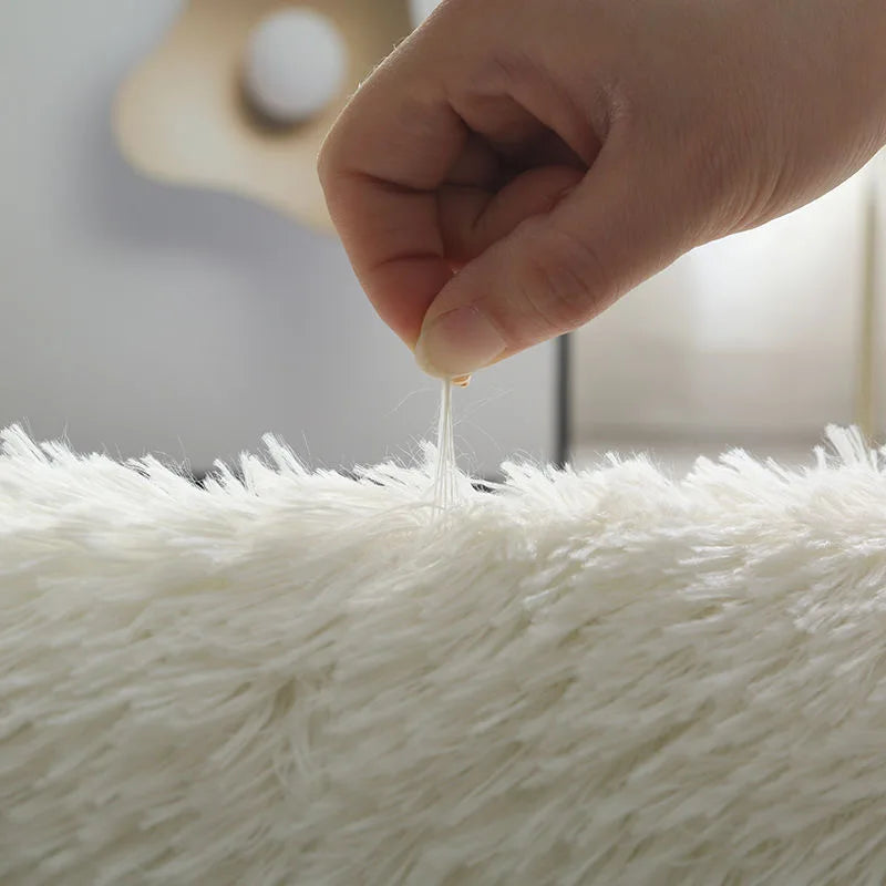 Fluffy Modern Living Room and Bedroom Furry Rug