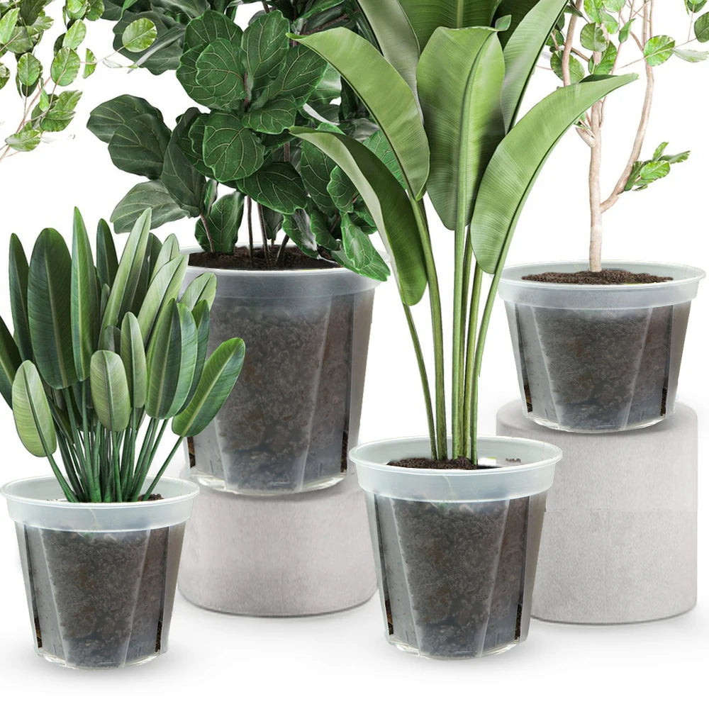 Plastic Transparent Breathable Flower Planter