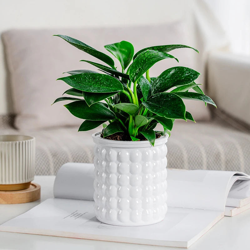 Self Watering Planter Pot Vase For Home Decoration