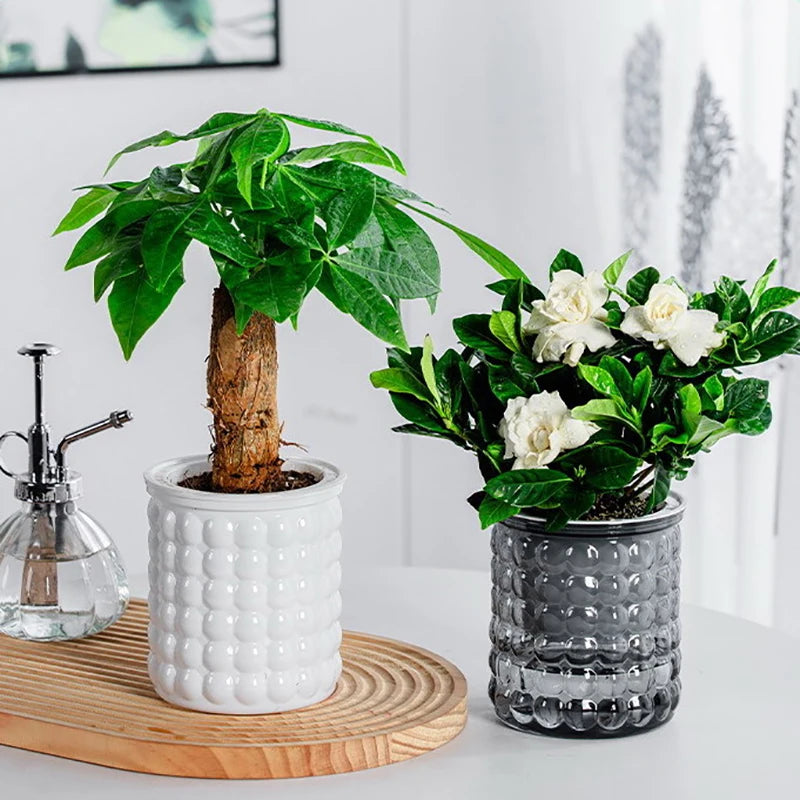 Self Watering Planter Pot Vase For Home Decoration