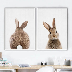 Bunny Rabbit Tail Wall Art Decor